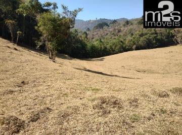 Foto 03 · Chácara à venda em Cunha-SP, próximo à divisa de Paraty: natureza, tranquilidade e exclusividade!