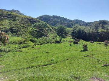 Rural , Cachoeiras de Macacu · Gandolfi C.Imóveis - Fazenda com 48 alqueires em Cachoeiras de Macacu, Confira!