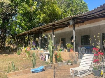Rural de 3 quartos, Brasília · Excelente oportunidade de investimento em uma chácara produtiva de 2 hectares.