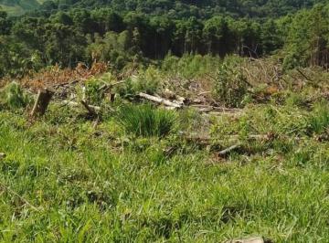 Foto 01 · Terreno, Bom Jardim, Camanducaia, MG