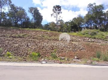 g1_3915_104964_1632_021123.jpg · TERRENO RESIDENCIAL