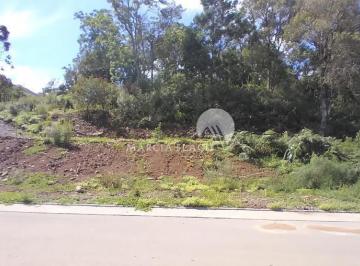 g1_3927_104976_1705_021123.jpg · TERRENO EM CONDOMÍNIO