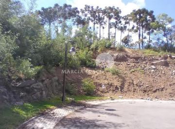 g1_3931_104969_1643_021123.jpg · TERRENO