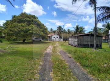 vendo-fazenda-produtiva-250mil-m-conde-ba-651715040.jpeg · Vendo Fazenda produtiva 250mil m², Conde / BA