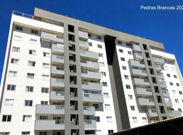arquivo_001-17156056112295.jpeg · Pedras Brancas bairro Tabuleiro