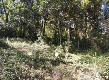fdee0612b6103c865e04ba824507eb769c3d2ff6 · Terreno à venda, 1002 m² por R$ 80mil - Terras de São Felipe (Caucaia do Alto) - Cotia/SP