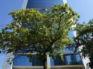 dbfded89f64ec7e23c2b124a0c84e7f0a9440b0f · Prédio corporativo para locação, Brooklin Paulista, São Paulo.