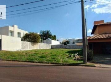 05b739e86474e21032f5763095f94384e75beb21 · Lote Excelente!!