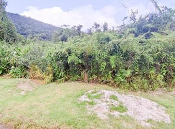 3a3aeceeb2d4ee5e5b47a47bd7e214beee2eec26 · Terreno à venda, 384 m² por R$ 320.000 - Massaguaçu - Caraguatatuba/SP