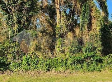 b356afc03811eaa77869ee53b938b1a49fbd6b69 · Terreno à venda, 384 m² por R$ 300.000,00 - Massaguaçu - Caraguatatuba/SP