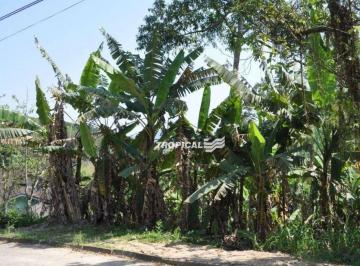3000fc75a3289a912bfb80afaac1652e53368043 · Terreno à venda, 420 m² por R$ 249.000,00 - Fortaleza - Blumenau/SC