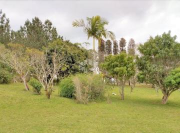210542_i0g4m3isR220t4eBY0iU_2105426187fa975b4c3.jpg · Sítio de 8ha a 100 metros da RS118 -  Viamão / RS