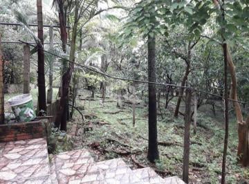 138619_i705Eost1t9Y_138619606b254f4c3d3.jpg · Sitio com 3742,50m²  bairro Santa Tecla