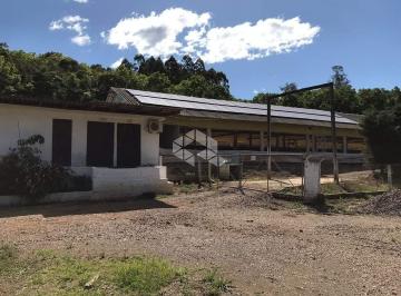 509977_i89hY3kqM6I2_50997765f2f806d0ab4.jpg · Propriedade com alto lucro no Municipio de Relvado RS