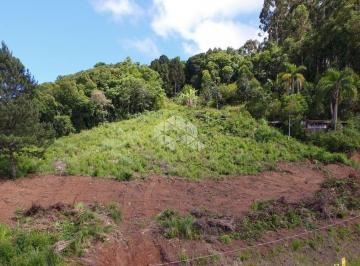 641245_i369nX3Q7272o9V39q9_64124566d704222c3c9.jpg · Terreno de 455 m² à venda no bairro Piá, em Nova Petrópolis