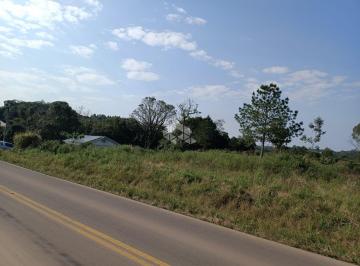 640096_i459V2_64009666ce2d572536c.jpg · Terreno de 8.010,87 m² à Venda