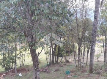641715_i1cxM88R8w59E93_64171566d9df6b12846.jpg · Área de Terras com 11.777,62 m² em Linha Pirajá, Nova Petrópolis