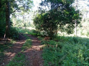 643502_iU499_64350266e85e2ec6a25.jpg · Chácara no Pinha Alto  em Nova petrópolis