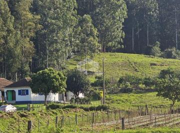 606284_inD532_606284668471b0d8dae.jpg · Chàcara com 10.800 hectare situada na localidade de 3 barras  Arroio Grande em Santa Maria Rs