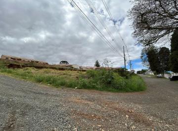 68_7_1.jpeg · Terreno à venda - em Uvaranas