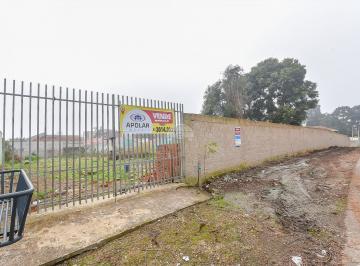 31_2_1.jpg · Terreno à venda - em Roseira
