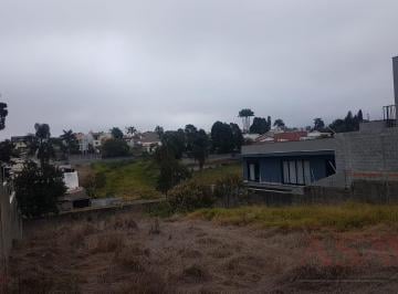 Terreno · 550m² · Lote / Terreno em Vila Oliveira  -  Mogi das Cruzes