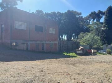 438523_i68A4mr_43852365e730ba45546.jpg · Terreno com benfeitorias em Canela Rodovia
