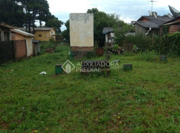 365513_iLw7PW361C6c14H42h2_3655136213ee66cad5b.jpg · TERRENO NO BAIRRO SÃO LUCAS EM CANELA