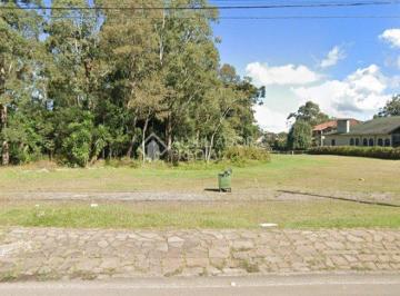 378369_i6du76q5B93B_37836962c9f2bd9edb5.jpg · Terreno no bairro Avenida Central