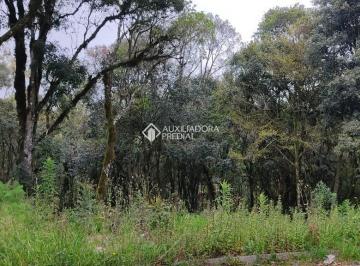 387161_ielg392V0EC77j6jsF916_3871616338507399140.jpg · TERRENO NA VILA DO CEDRO EM CANELA.