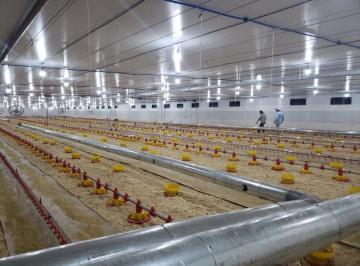 Rural · 72600m² · OPORTUNIDADE DE NEGÓCIO COM GERAÇÃO DE RENDA!!!!