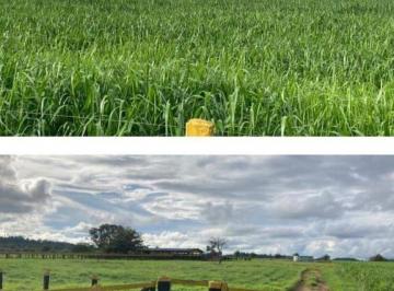 Rural · 20850000m² · FAZENDA AGRÍCOLA E PECUÁRIA - JUARA/MT