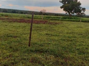 Rural · 17800000m² · FAZENDA À VENDA REGIÃO DE CANARANA/MT