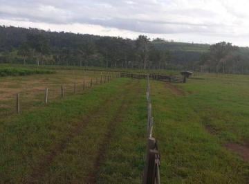 Rural · 45680000m² · FAZENDA NEGOCIO DE OPORTUNIDADE!!!