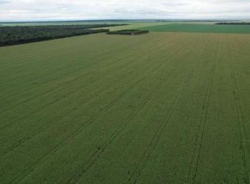 Rural · 15500000m² · FAZENDA A VENDA NA REGIÃO DE SANTA CARMEM-MT!