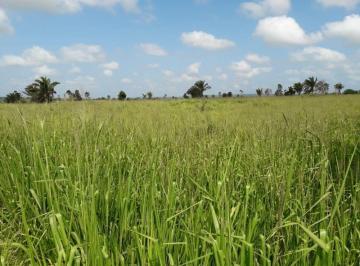 Rural · 65340000m² · FAZENDA NO MUNICÍPIO DE BURITICUPU-MA