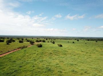 Rural · 40000000m² · FAZENDA A VENDA NA REGIÃO DE FORMOSA DO ARAGUAIA-TO!!