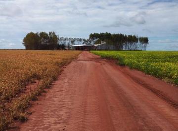 Rural · 32000000m² · FAZENDA DUPLA APTIDÃO EM PARANATINGA-MT.