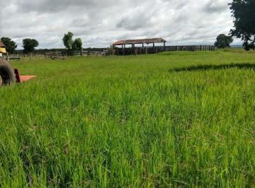 Rural · 9600000m² · FAZENDA A VENDA EM ALTO GARÇAS-MT.