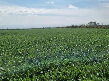 Rural · 40000000m² · FAZENDA A VENDA PRÓXIMO A CONFRESA-MT.