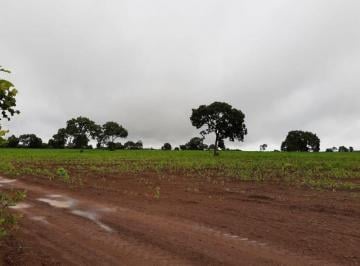Rural · 12100000m² · FAZENDA A VENDA EM JANGADA-MT.