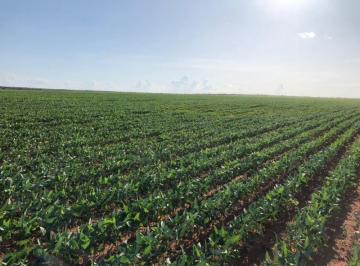 Rural · 21150000m² · FAZENDA A VENDA EM RIO SONO-TO.