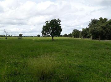 Rural · 15680000m² · FAZENDA PARA PECUARIA PORTEIRA FECHADA ARAGUAIANA MT