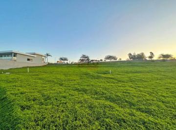 Terreno · 725m² · VENDA | Terreno,  em JARDINS DE MONET RESIDENCE, MARINGA