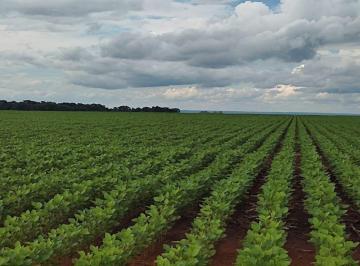 Rural · 24340000m² · FAZENDA ENTRE MUNICÍPIO DE SANTA MARIA DO TOCANTINS E PEDRO AFONSO!
