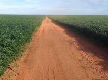 Rural · 391540000m² · FAZENDA A VENDA ÓTIMA REGIÃO AGRICOLA