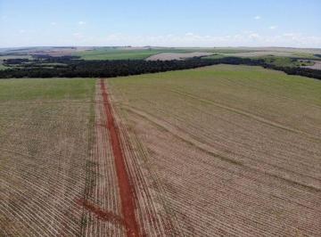 Rural · 6000000m² · Fazenda  no Paraná alta produção