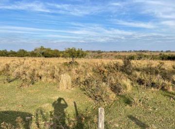 Rural · 2240000m² · FAZENDA A VENDA NA PECUARIA MAS DUPLA APTIDÃO
