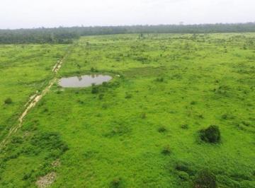 Rural · 60000000m² · VENDA | Fazenda, em Nao Informado, Senador José Porfírio