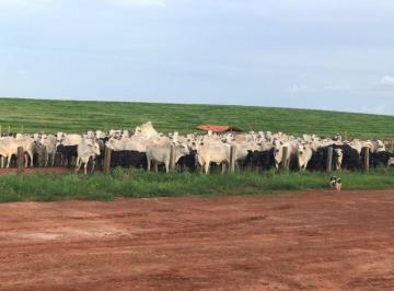 Rural · 70000000m² · FAZENDA PORTEIRA FECHADA COM PISCICULTURA, IRRIGAÇÃO, PECUARIA E FABRICA DE RAÇÃO.